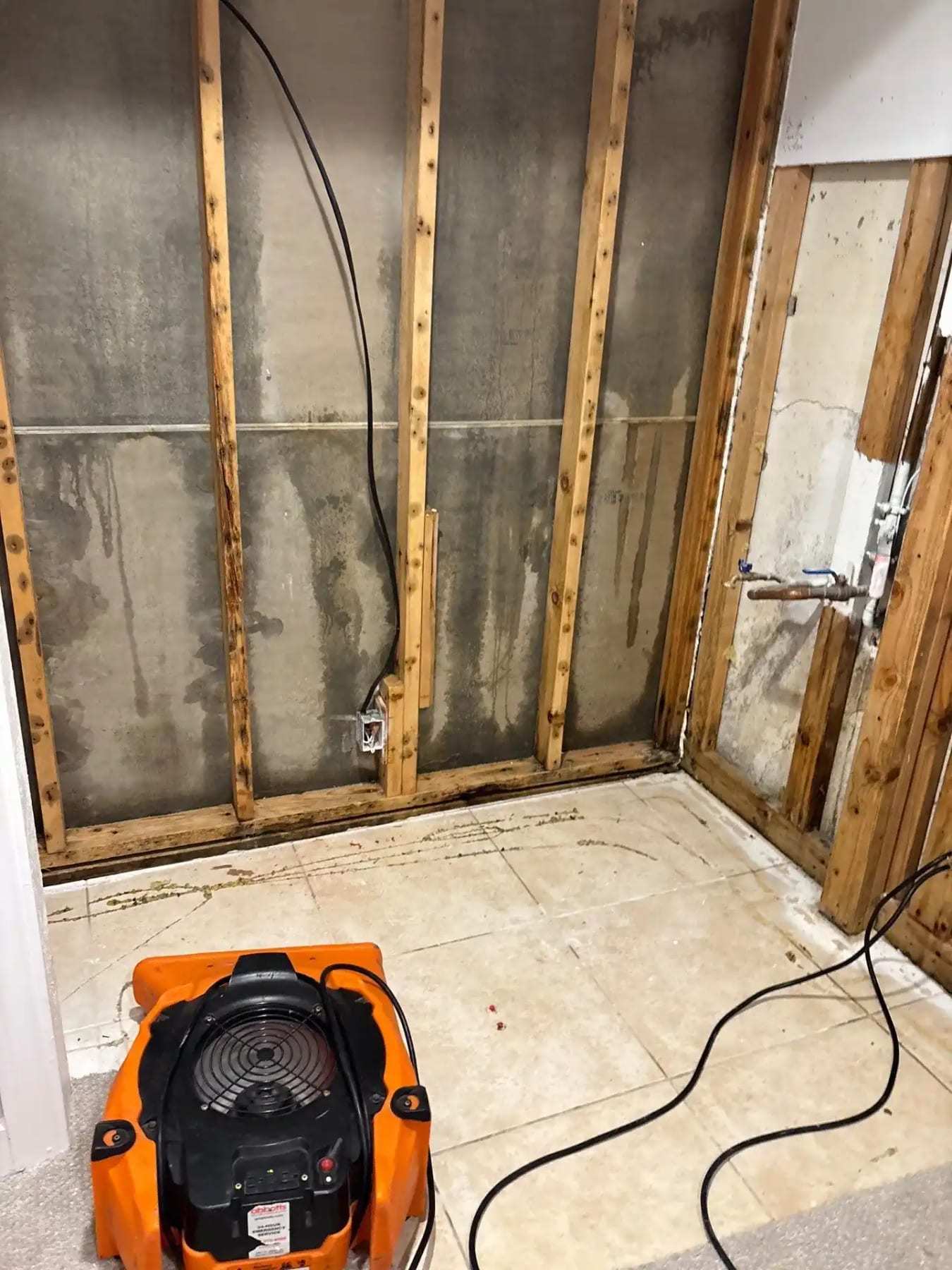 Flood-cut walls with mold staining on the framing and an air mover on the floor